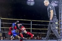 Arena Golden Fight 11