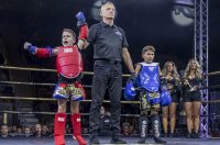 Arena Golden Fight 11