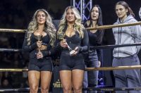 Arena Golden Fight 11