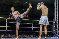 Arena Golden Fight 11