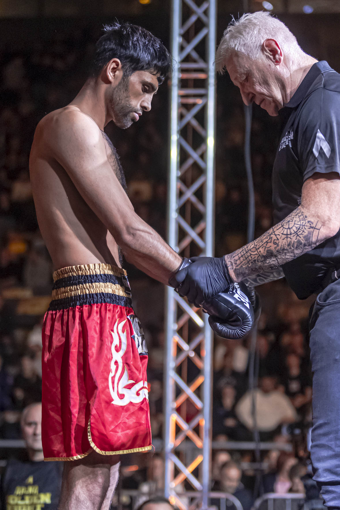 Arena Golden Fight 11