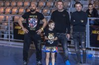 Arena Golden Fight 11