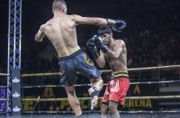 Arena Golden Fight 11