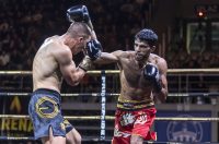 Arena Golden Fight 11