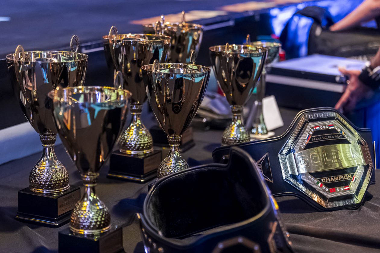 Arena Golden Fight 11