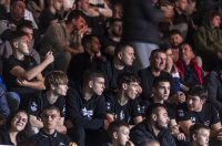 Arena Golden Fight 11