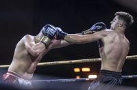 Arena Golden Fight 11