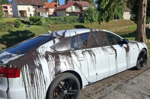 H-526697027_122121702650897786_1753441154134752074_n-960 H-526697027_122121702650897786_1753441154134752074_n-960