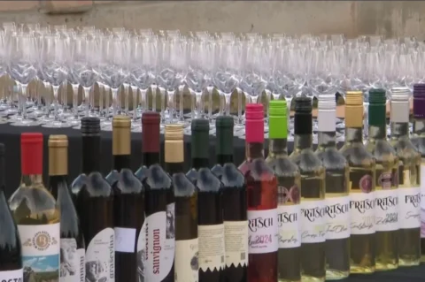 vino