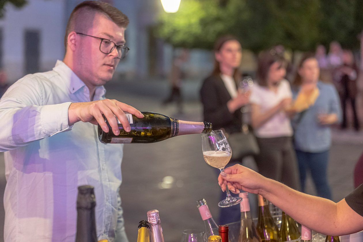 Walk_&_Wine_Tonci_SiB_2026 Walk_&_Wine_Tonci_SiB_2026