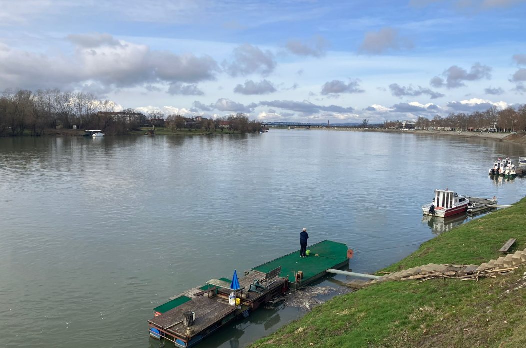 IMG-20260213-WA0002 (1)