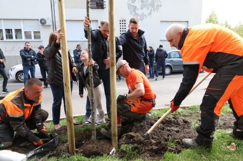 IMG-20260411-WA0005 IMG-20260411-WA0005