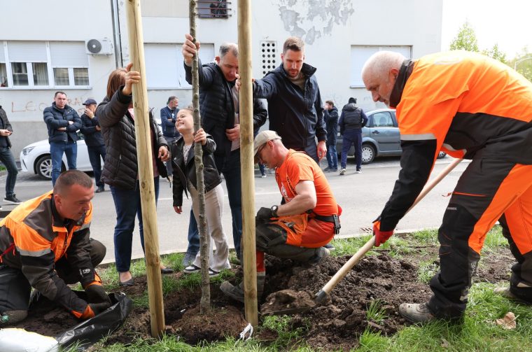 IMG-20260411-WA0005 IMG-20260411-WA0005