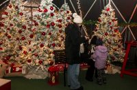 Advent u Osijeku_29_11_2025