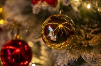 Advent u Osijeku_29_11_2025