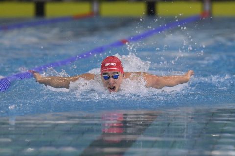 Ivor Gaće Ivor Gaće