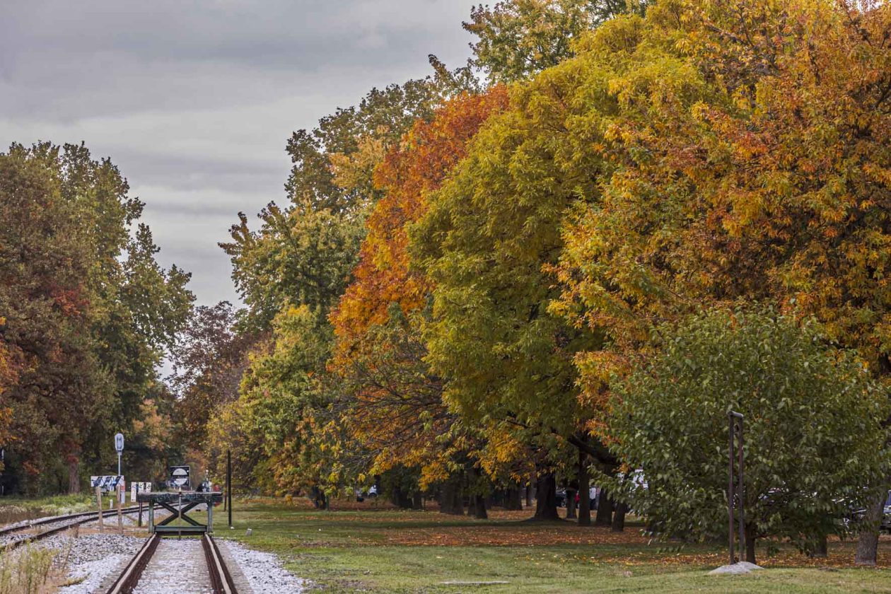 Jesenska šetnja 2025.