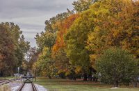 Jesenska šetnja 2025.