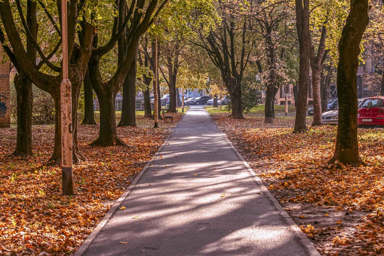 Jesenska šetnja 2025.