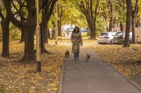 Jesenska šetnja 2025.