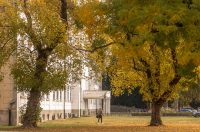 Jesenska šetnja 2025.