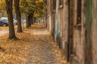 Jesenska šetnja 2025.