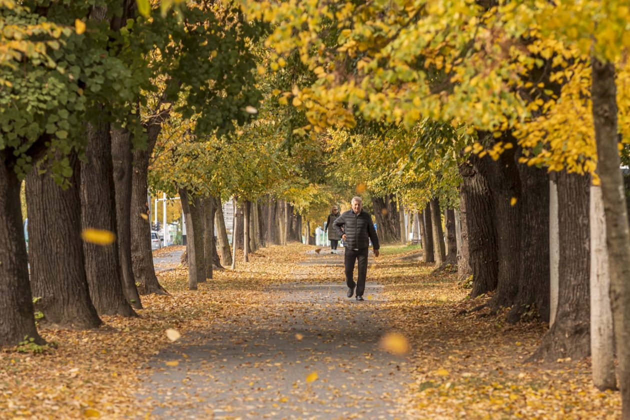 Jesenska šetnja 2025.