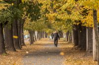 Jesenska šetnja 2025.