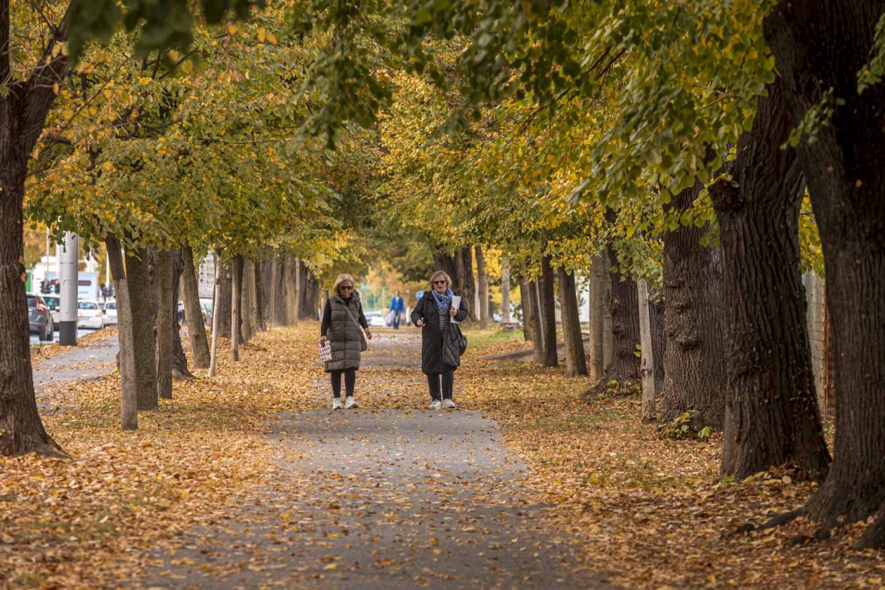 Jesenska šetnja 2025.