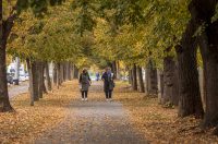 Jesenska šetnja 2025.