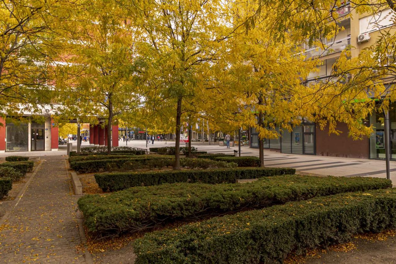 Jesenska šetnja 2025.