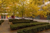 Jesenska šetnja 2025.