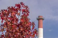 Jesenska šetnja 2025.