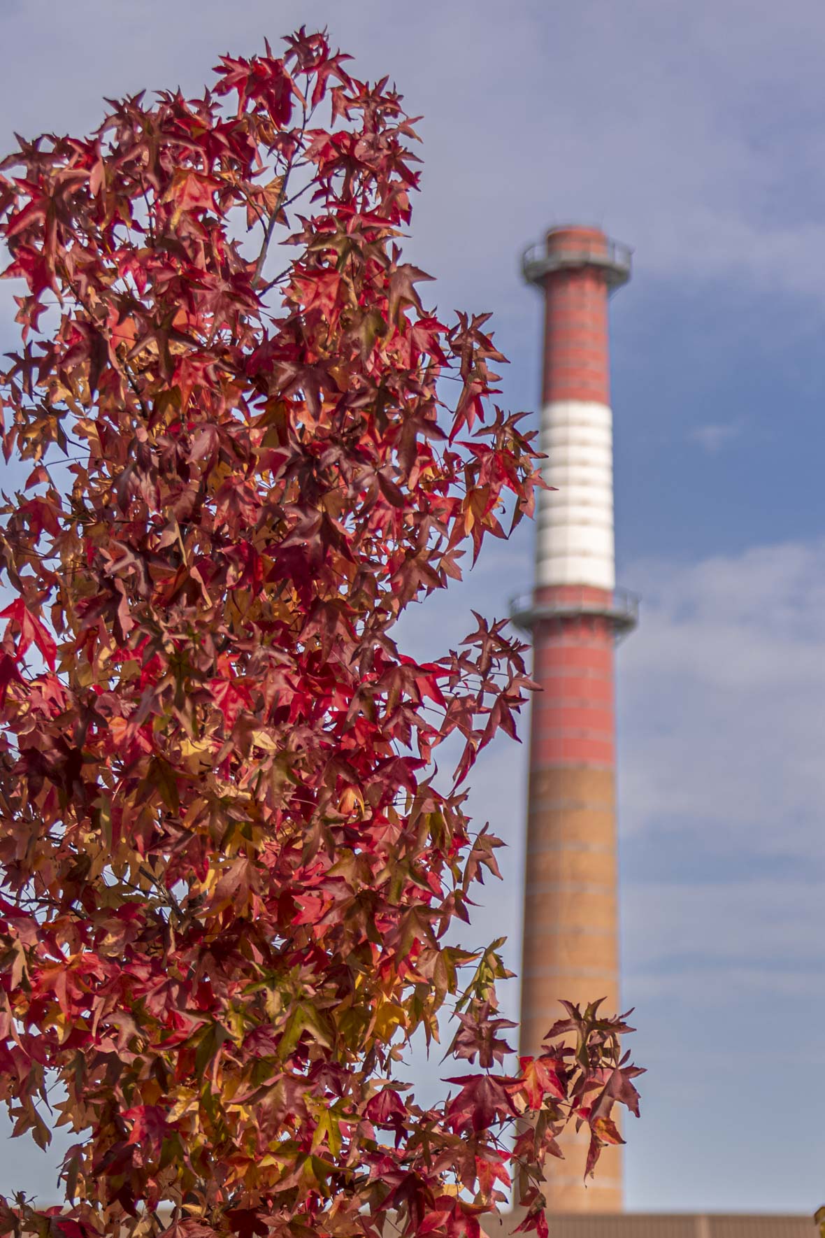 Jesenska šetnja 2025.