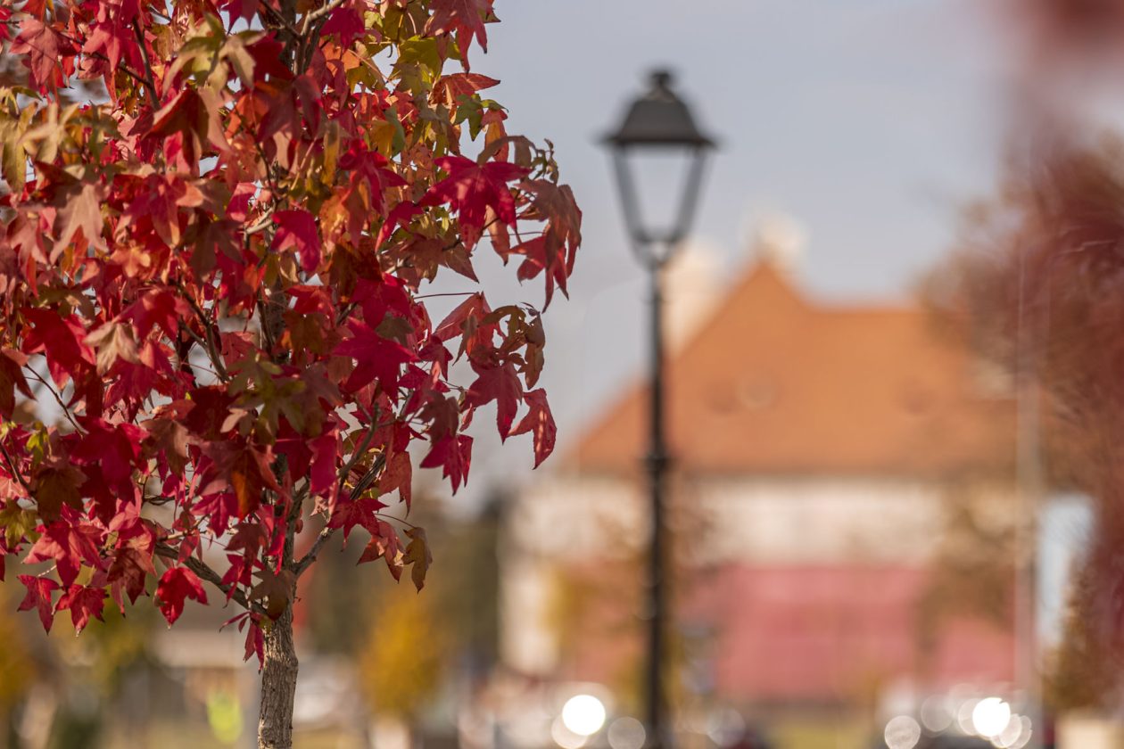 Jesenska šetnja 2025.