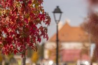 Jesenska šetnja 2025.