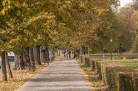 Jesenska šetnja 2025.