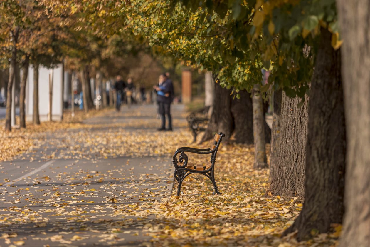 Jesenska šetnja 2025.