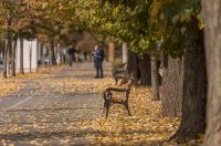 Jesenska šetnja 2025.