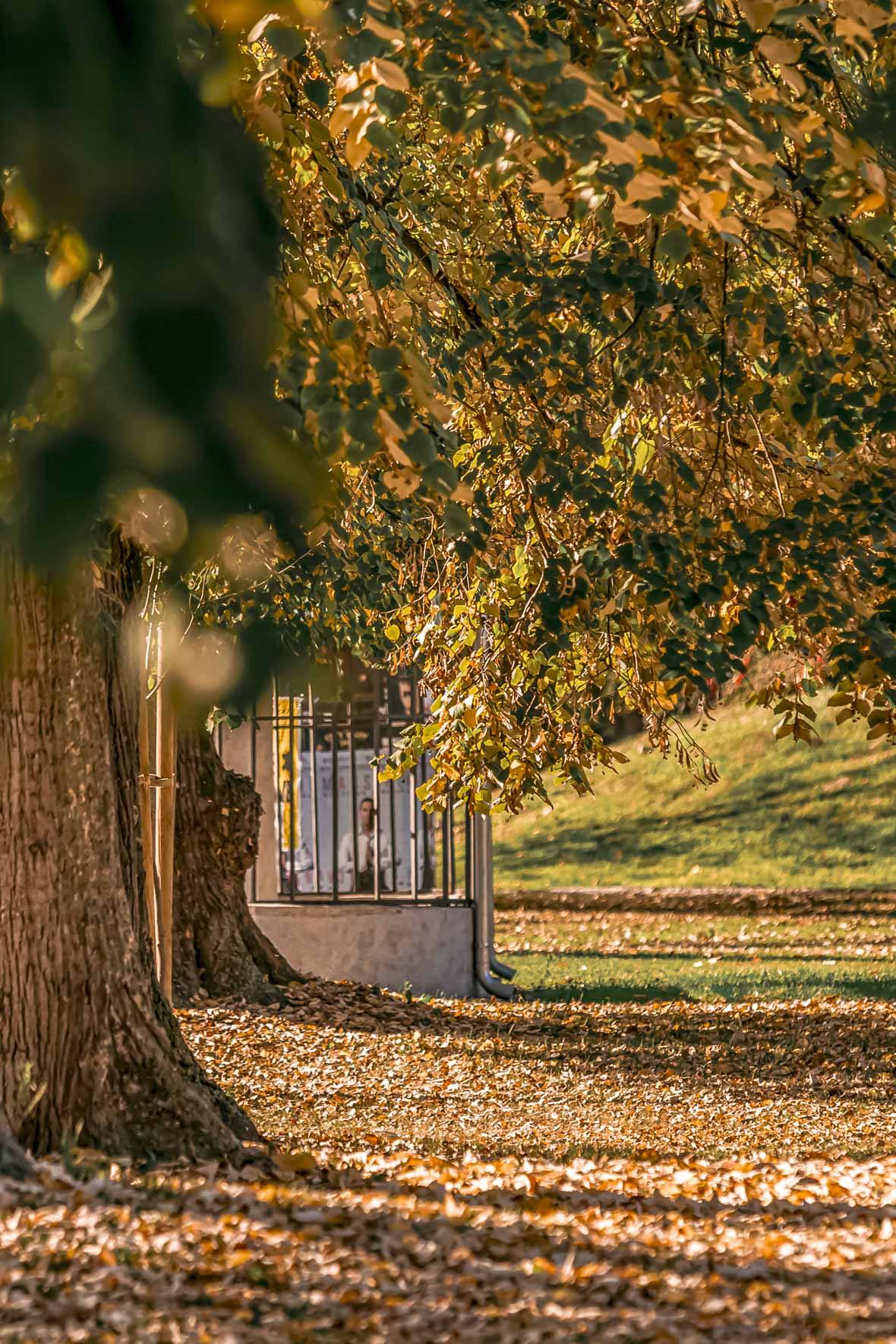 Jesenska šetnja 2025.