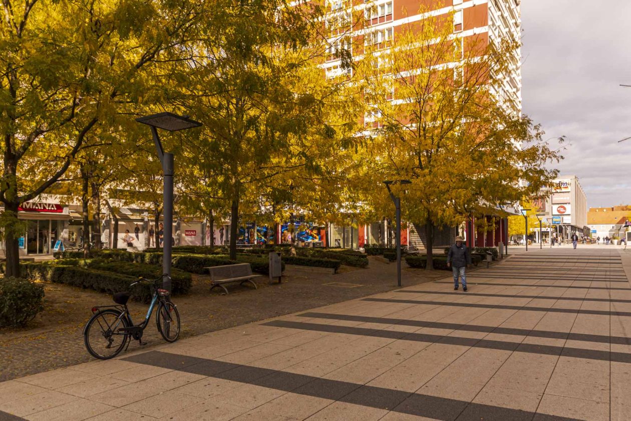 Jesenska šetnja 2025.