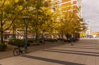 Jesenska šetnja 2025.