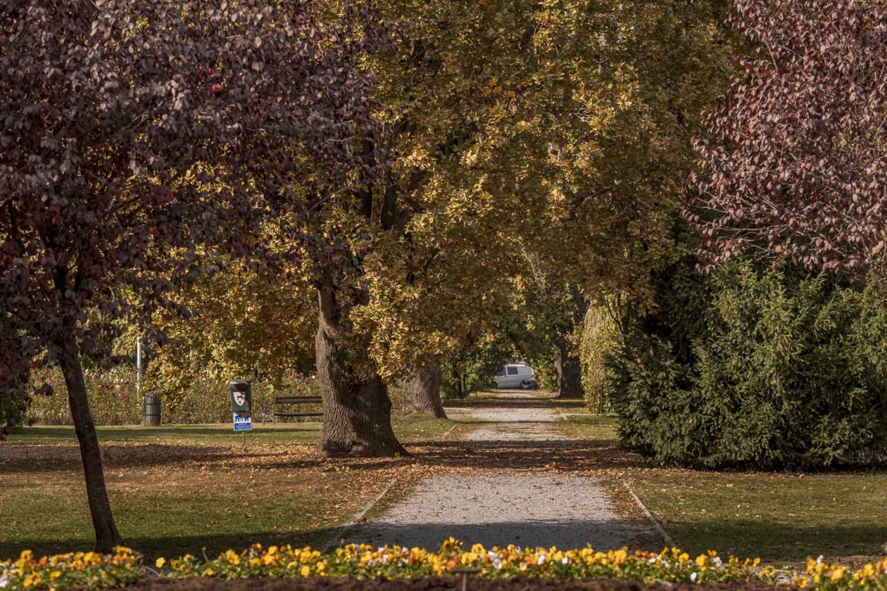 Jesenska šetnja 2025.