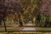 Jesenska šetnja 2025.