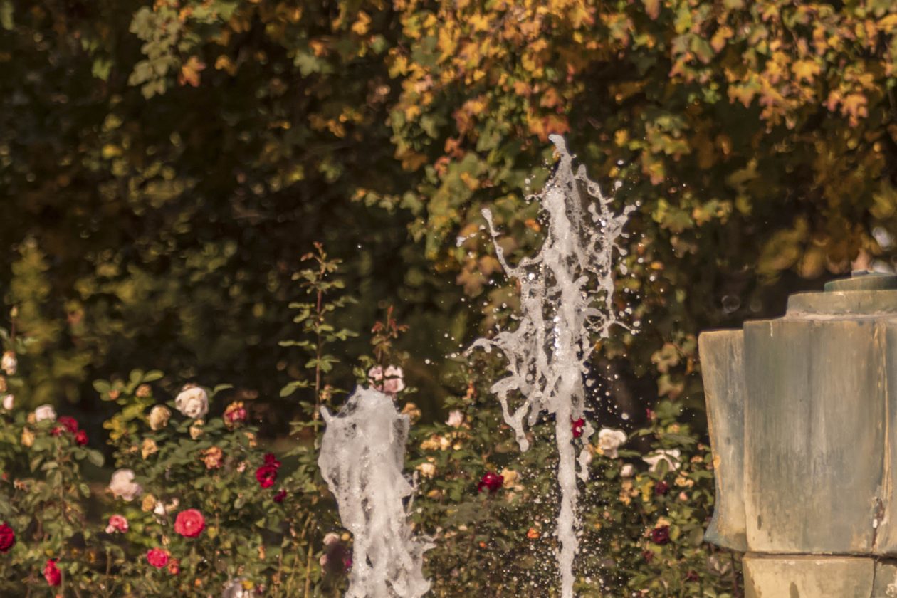 Jesenska šetnja 2025.