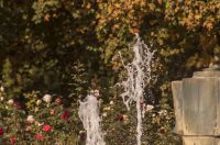 Jesenska šetnja 2025.