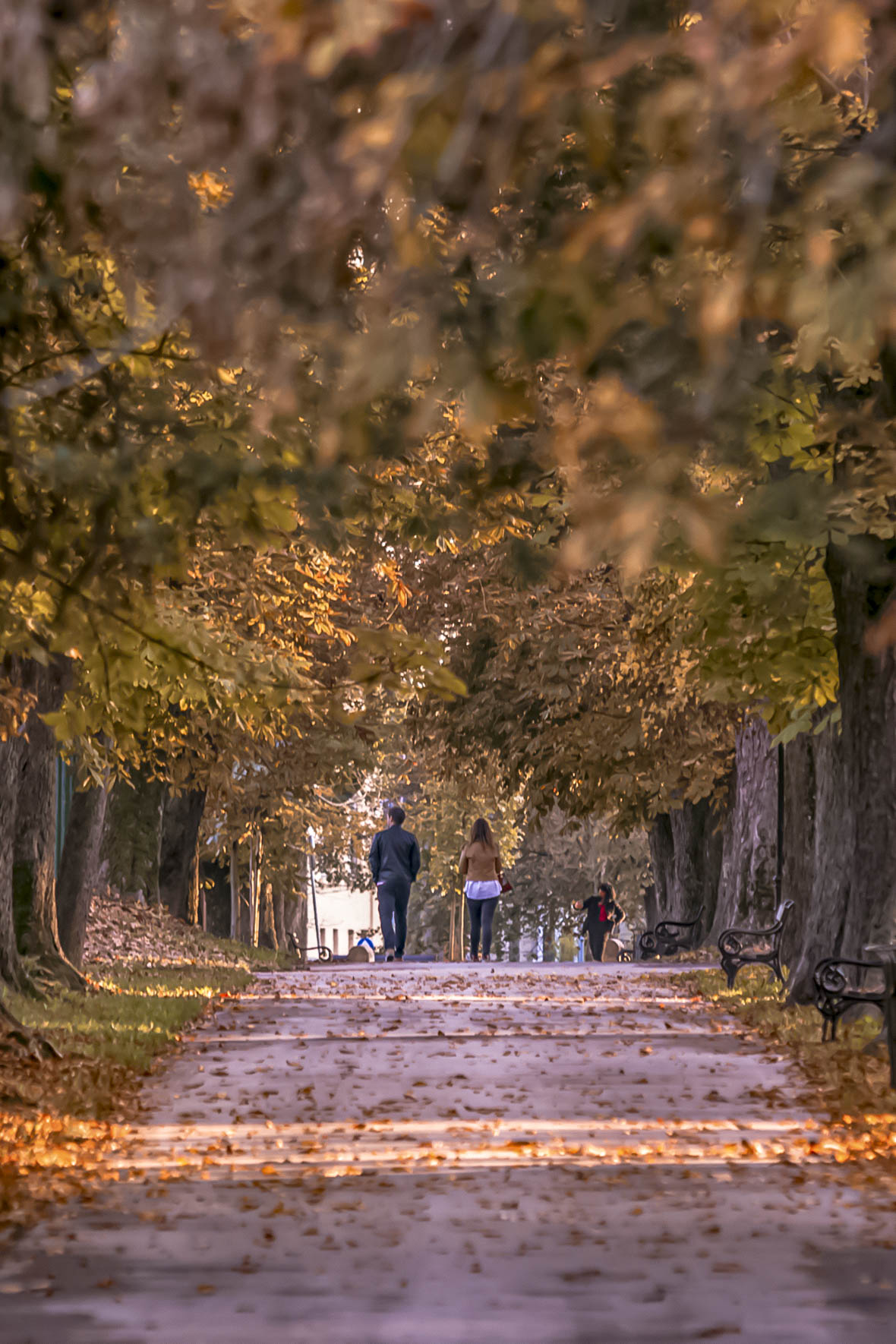 Jesenska šetnja 2025.