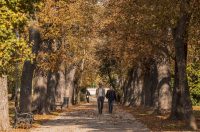 Jesenska šetnja 2025.