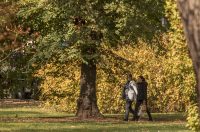 Jesenska šetnja 2025.