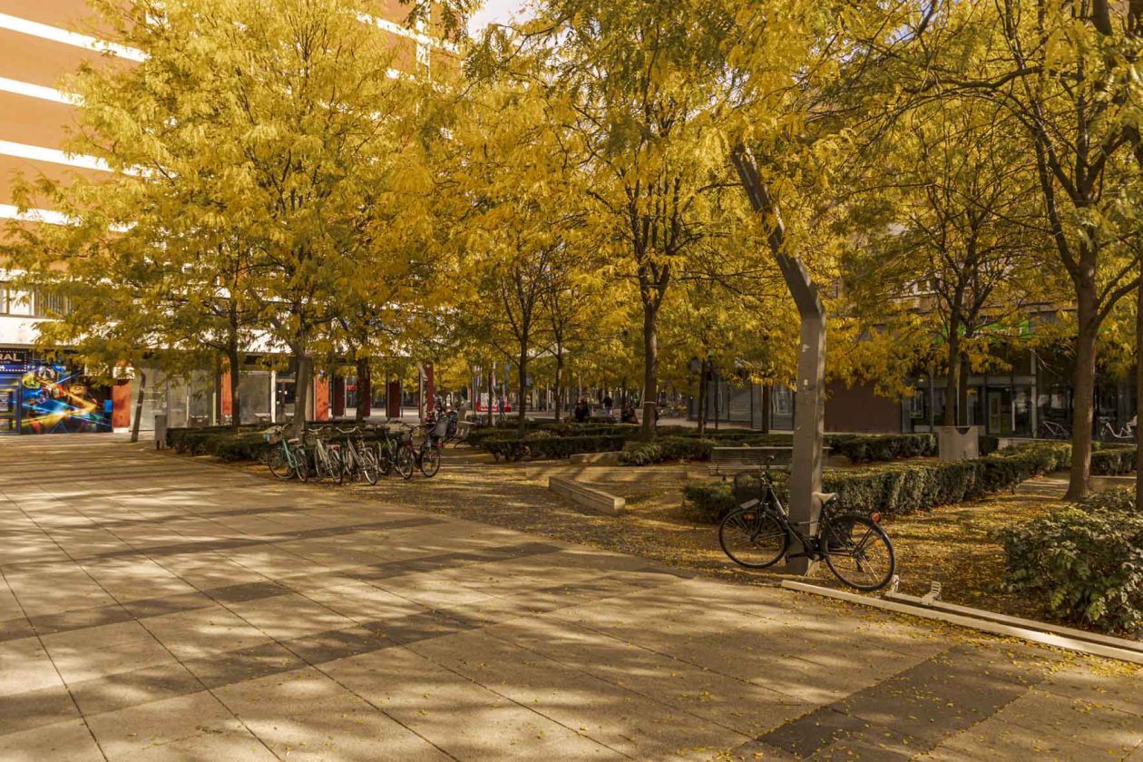 Jesenska šetnja 2025.